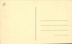 Vichy CPA Le casino vu des jardins