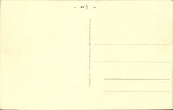 Vichy CPA Le parc Allee fleurie