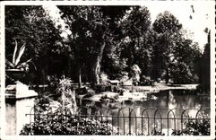 Vichy CPA Un coin des nouveaux parcs