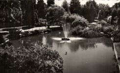 Vichy CPA Le bassin des cygnes dans les grands parcs