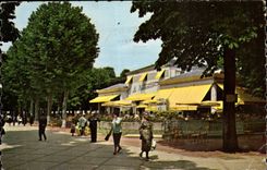 Vichy CPA La Restauration