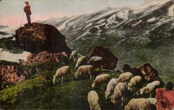 CPA the Pyrenees far from the world (sheep)
