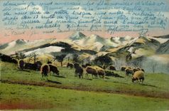 CPA the chain of the Pyrenees Pastures of mountain