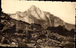 Saint Happy CPA Peak of the Guy