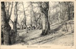 Montmorency CPA Chataignerie