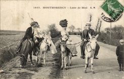 Montmorency CPA the Moon of mile (ass donkey) TOP