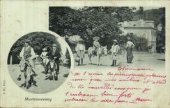 Montmorency CPA Ass donkey