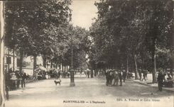 Montpellier CPA L'esplanade