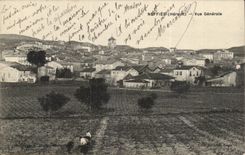 Neffies - View - CPA