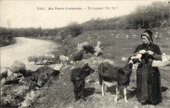 With the country Creusois CPA You biquette! you! Te! (goat goats goat goats) TOP