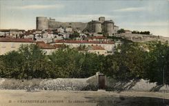 Villeneuve Avignon CPA the castle Saint Andre