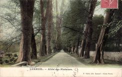 Luxeuil CPA Allee of the plane trees