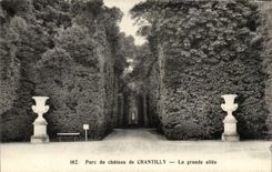 CPA Park of the castle of Chantilly the large alley