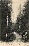 Pres Quillan - Foret des Fanges -- CPA 