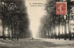 Montgeron CPA Which occurred of the castle