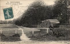 Montgeron CPA Entrance of the drill of Senart