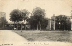 CPA Ancien chateau de Blandy les Tours Ensemble