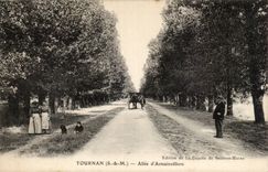 Tournan CPA Allee of Armainvilliers