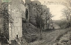 Layered branches CPA Gate Saint Jean (seen from in the pit of the fortifications)