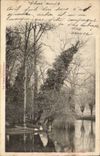 Coulommiers - Les Cygnes au Bord de l'eau - CPA 
