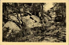 Fontainebleau - the Drill - Falls of Franchart - CPA