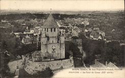 Layered branches CPA the tower of Cesar