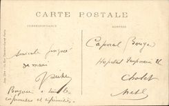 Layered branches CPA the tower of Cesar