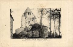 Layered branches CPA Turn of CEsar