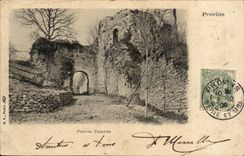 Layered branches CPA Faneron Postern