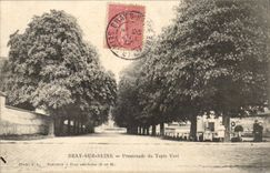 Bray on the Seine CPA Walk of the green carpet