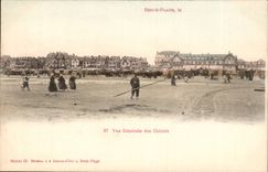 Berck Beach CPA View of the country cottages