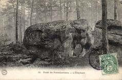 Drill of Fontainebleau CPA elpehant It