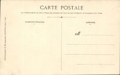 Hyeres - Riodet Prachtstrasse - Palmen - CPA