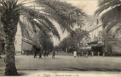 Africa - Tunisia - Africa - Tunis - Avenue of France - CPA