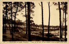 Der Abschnitt auf Meer CPA die Luft des Meeres und der Tannenbaume ist es Gesundheit fur tou