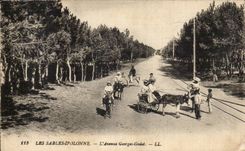 Sande von olonne CPA welches die Allee Georges hohlen (Eselseselmaultier)