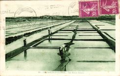 Sande olonne CPA der Salzwassersumpfe