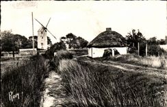 Im Vendee CPA Bourrine und Muhle des Land maraichin (Hirse)