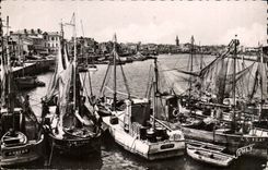 CPSM Sande von olonne das der Hafen beim Lachaume grundieren