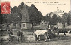 Montigny the King CPA Fountain of the well Vachot (cows)