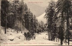 Make Romeu CPA the drill in winter (horse) sledge)