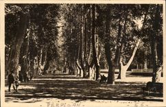 Perpignan CPA Les Platanes