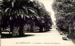 Perpignan CPA Le square Avenue des palmiers