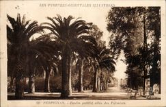 Perpignan CPA Jardin public allee des Palmiers