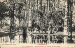 Perpignan - la Piece d'eau du jardin des plantanes - CPA 