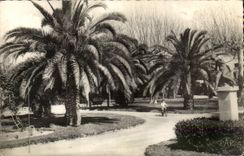 Perpignan - Jardin d'enfants et des Palmiers - CPA 