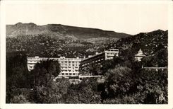 The Climbing - Establishment in its nest of Greenery - CPA