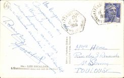 The Climbing - Establishment in its nest of Greenery - CPA