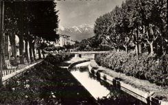 Perpignan - Les Quais fleuris de la Basse et au fond le Canigou - CPA 
