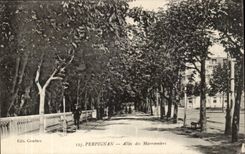 Perpignan - Allee des Marronniers CPA 